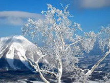   укрепление здоровья в сезон «сяосюе» («малый снег»)